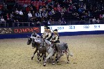 Quadrille - 00845